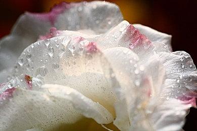 IGN评选年度游戏：《黑神话：悟空》暂居第四